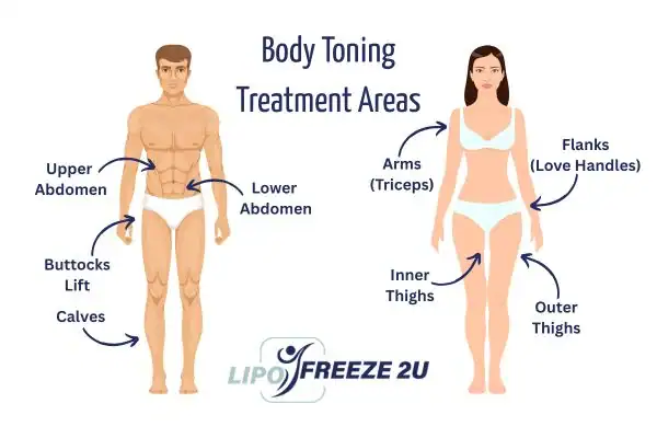 Graphic showing where you can have Body toning Treatment Thrapston on your body